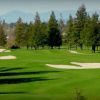 2024 Sonoma County Amateur - NCGA Point Event