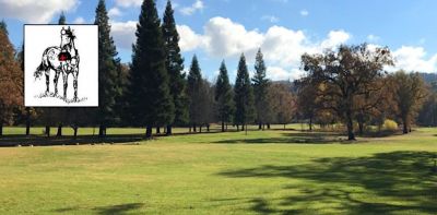 2024 Horses for Healing 9-Hole Golf Tournament